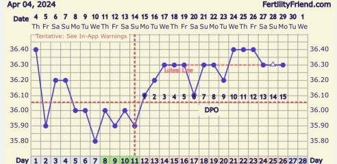 Implantation Dip OR Oestrogen Dip???