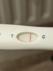 16 days dpo, faint positive lines, worried