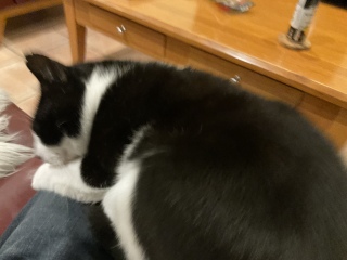 Lap wars