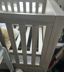 September 2024 - Thread 6! 🐣🧡💛❤️