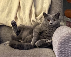 Thread 13 - TalkLair: “I say we take off and nuke the entire site from orbit. It's the only way to be sure.”