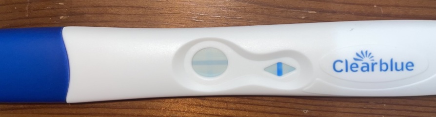 12 dpo, do these look positive