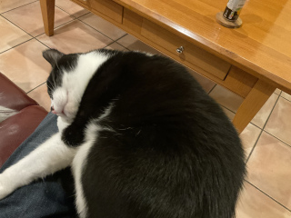 Lap wars