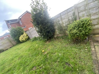 New garden inspo/advice *pics included*