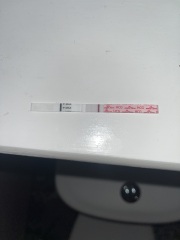 TTC April 2024…Christmas Babies! ❤️✨