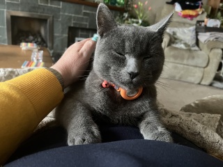 Meet Ralph