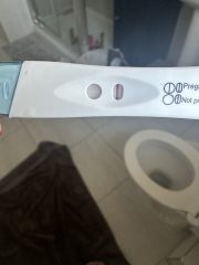 Opinions on tests - positive?!