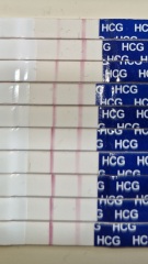 Dec-Christmas Babys 2024