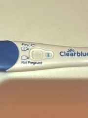 Line eyes please - 8dpo