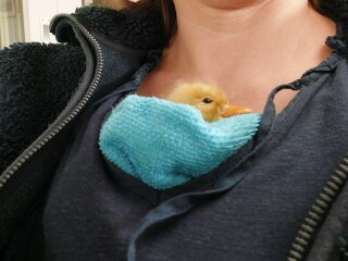 Ukraine Invasion: Part 48