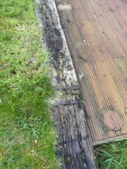 Ocd contamination fears