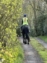 Help name dd’s new horse!