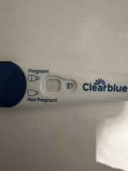 Immune/NK cells pred thread #32