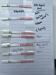 5dp5dt - Line eyes please!!
