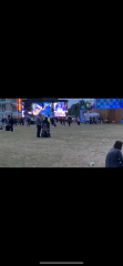 BST Hyde Park, Crowds and Pregnant, help?