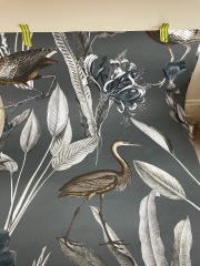 What's the most beautiful wallpaper you've seen?