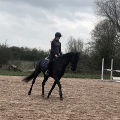 Help name dd’s new horse!
