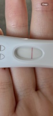 Faint BFP or indent on FRER...