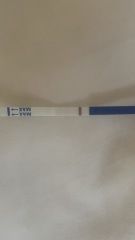 Anyone want to join for two week wait?