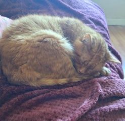 Meet Ralph