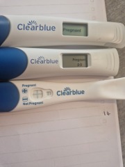 Due Jan 2025