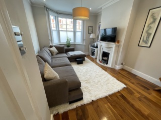 Sofa and rug too big?