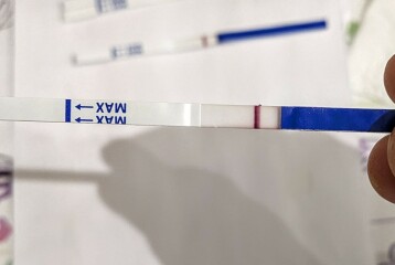 1dpo buddies