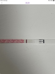 First bfp