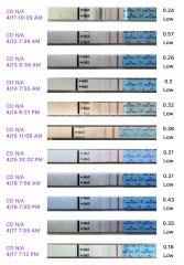 Ovulation after miscarriage