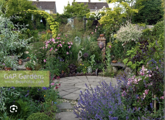 What to do with new garden?