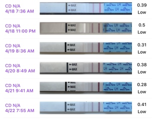 Ovulation after miscarriage