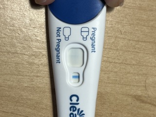 Positive test or evap line