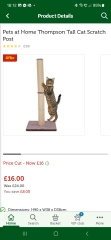 What cat carriers and tree houses/scratch posts do you all have?