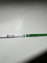 Anyone want to join for two week wait?