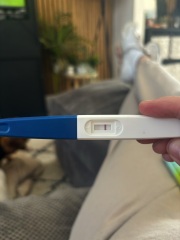 clear blue a positive or evap line?