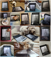 Lurking Merkins - Volume Two of Under the Duvet of Darkness