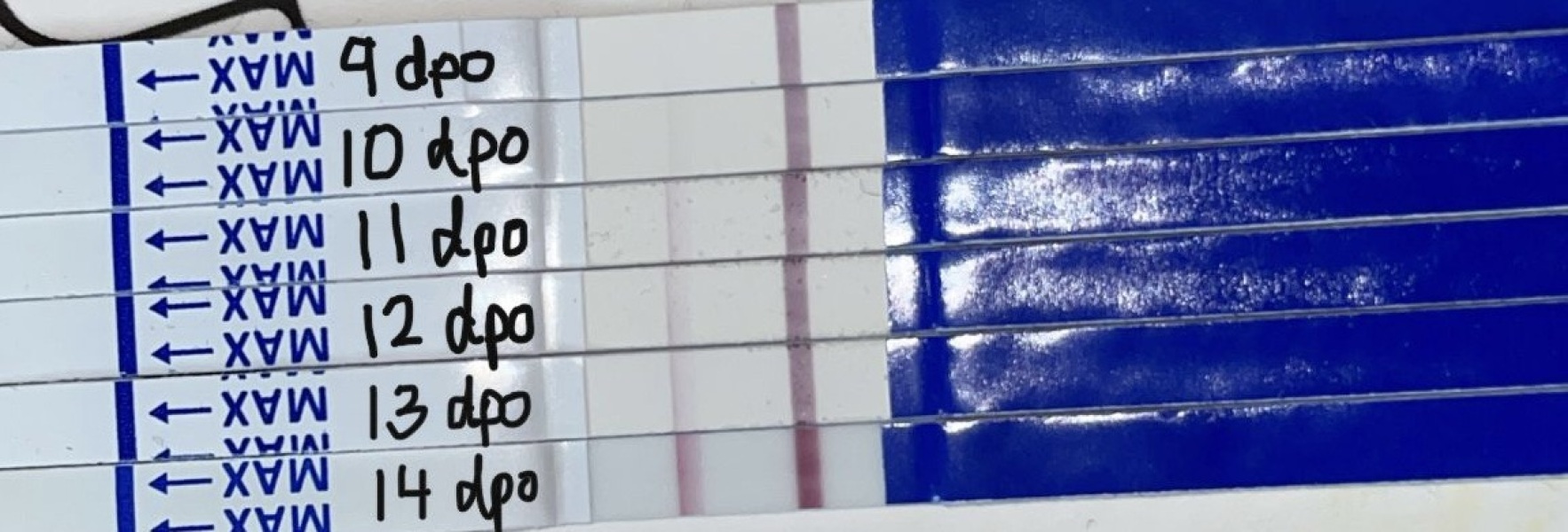 Line progression from 9dpo to 14dpo. Opinions appreciated !