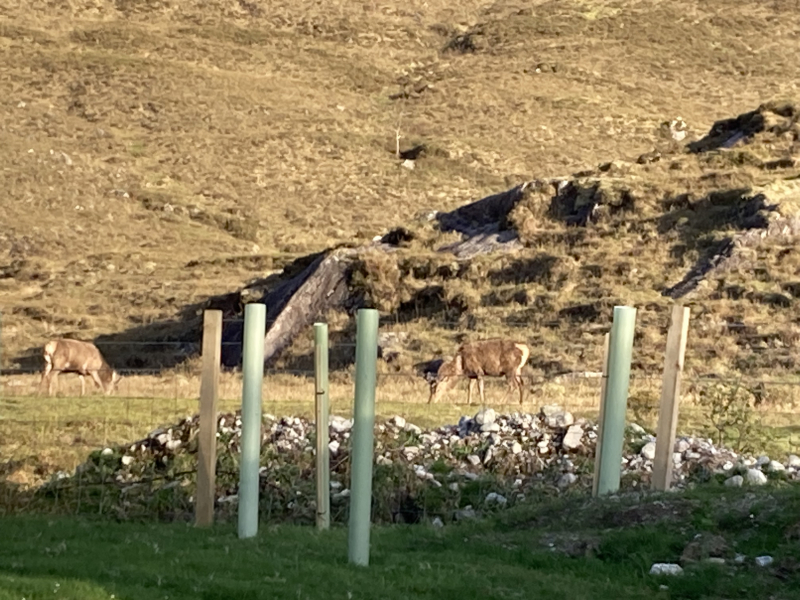 Come chat hiking with me!