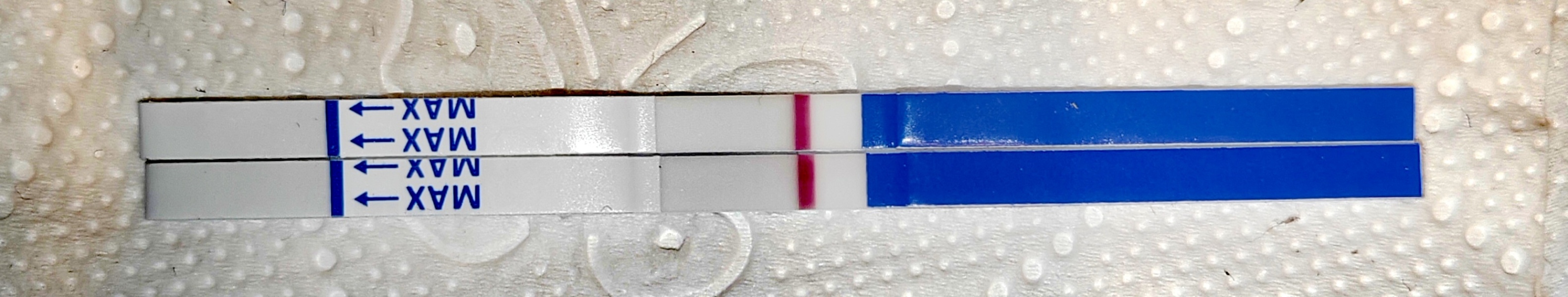 A line eye enthusiast #2