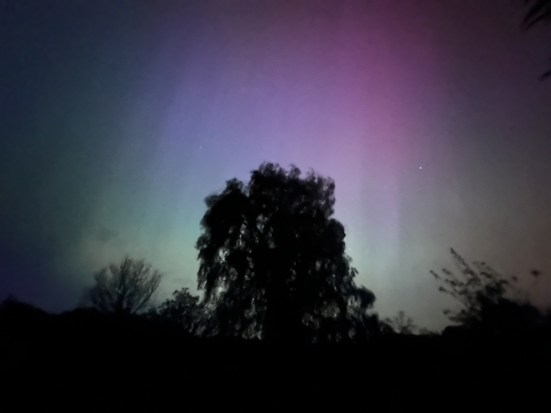 Anyone watching for Northern Lights tonight?