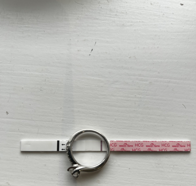 IVF/ICSI May or late April