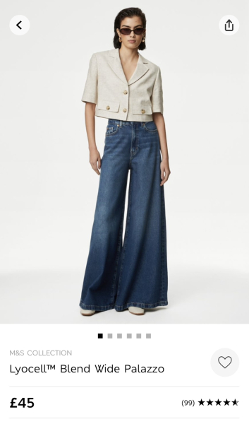 Any good duplicates for the Me+Em Palazzo travel Jean?