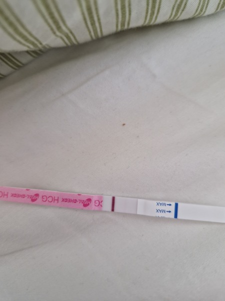 FET - day 8 Lines