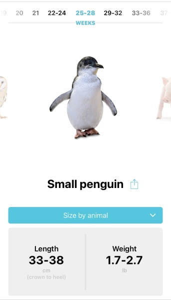 September 2024 - Thread 7! 🐣🧡💛❤️