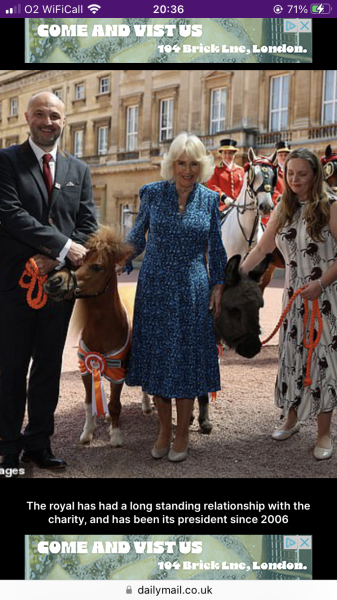 Royal Style - C.Rexing towards summer with hopes for happy days ahead