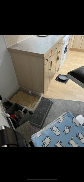 Friend's smelly house