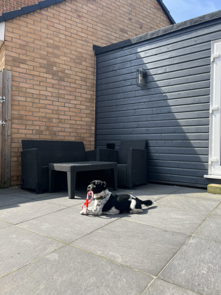 URGENT - DOG ATTACKED PARTNER **Please read OP's latest updates**  [edited by MNHQ]