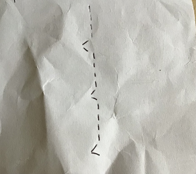 Machine straight stitch with regular zigzag stitches.