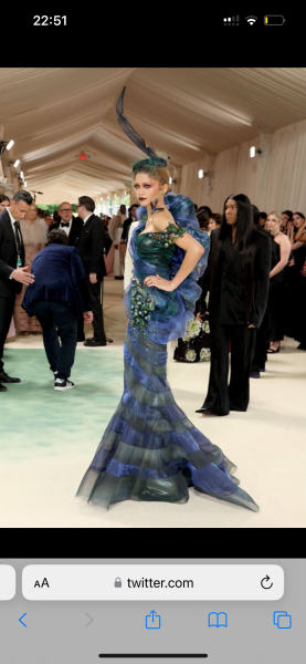 The MET Gala