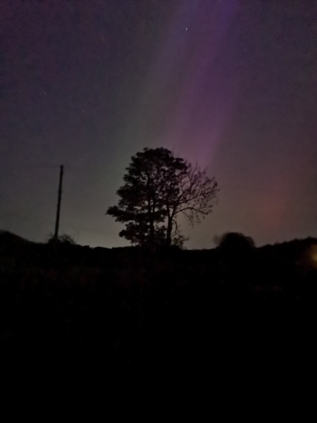 Anyone staying up to try and glimpse the Aurora Borealis?